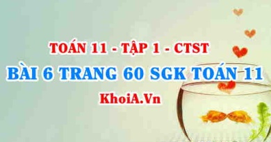 Bài 6 trang 60 SGK Toán 11 Tập 1 Chân trời sáng tạo